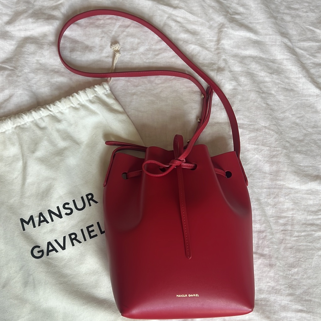 Like New Mansur Gavriel Mini Bucket Bag